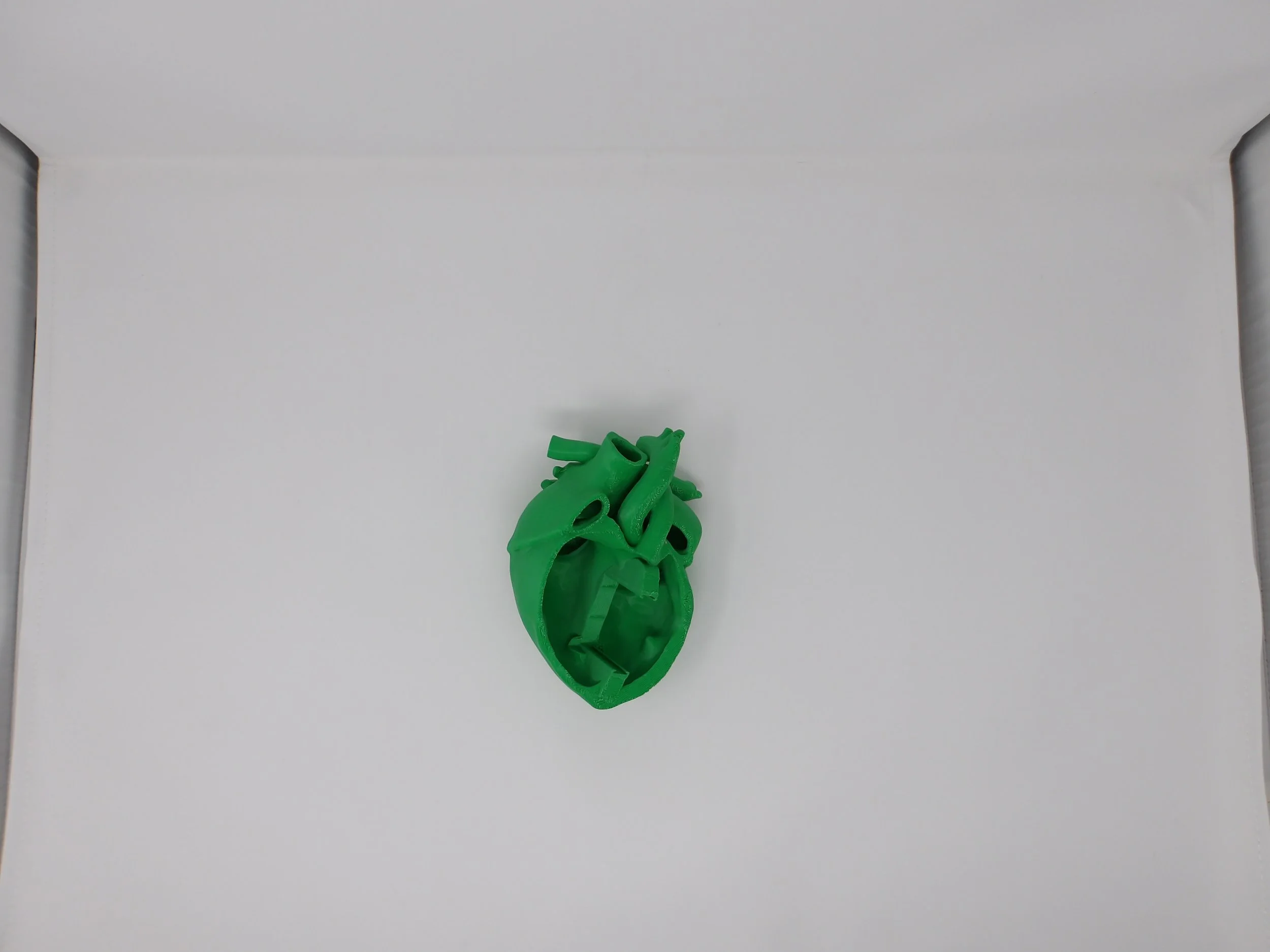 1.1 Large 3D printed heart with replaceable silicone VSD