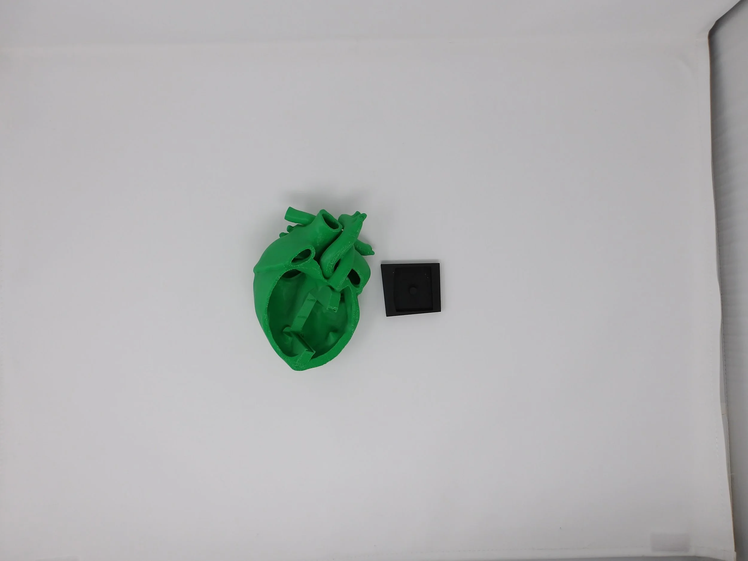 100_0015.JPG