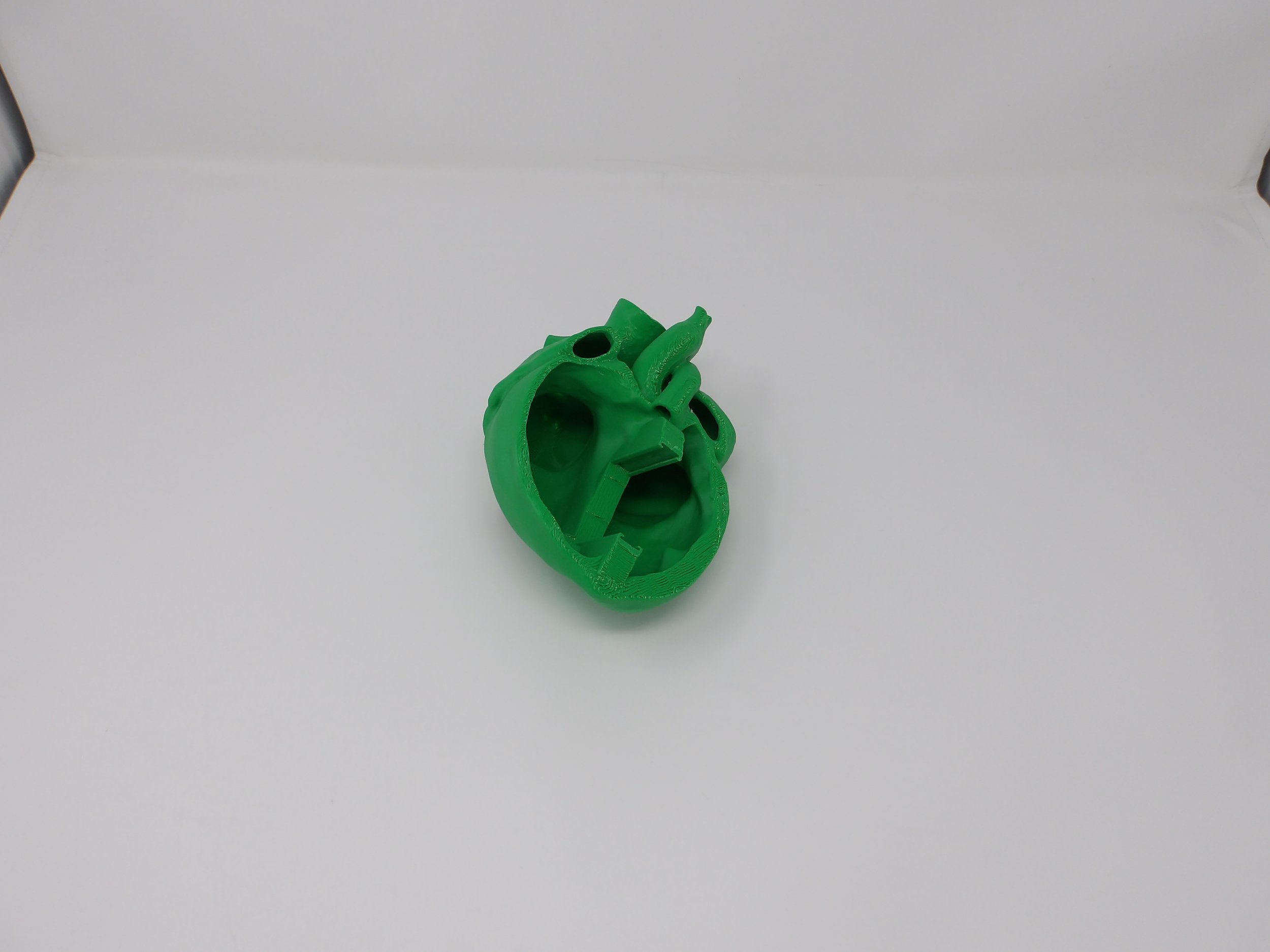 100_0012.JPG