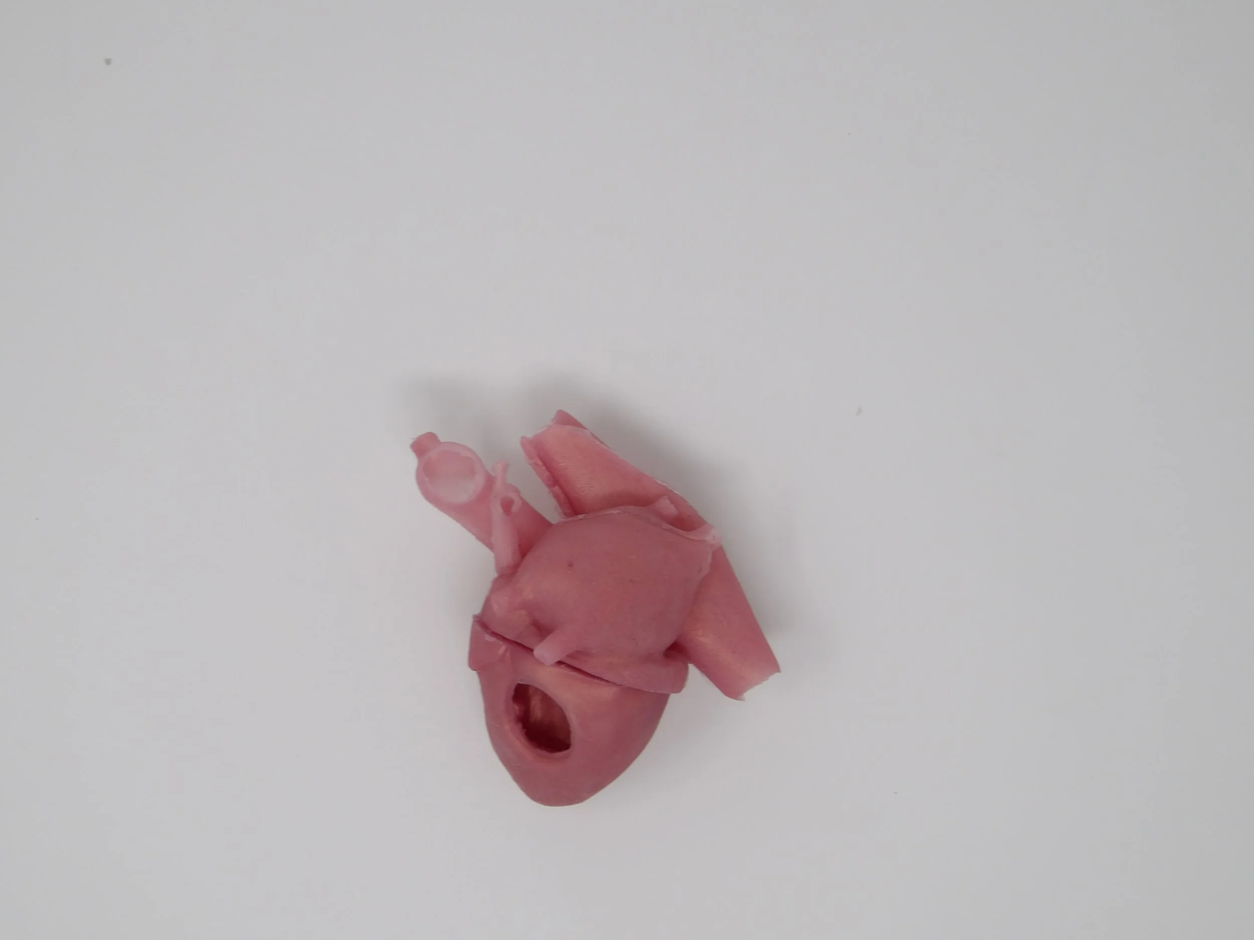 100_0075.JPG