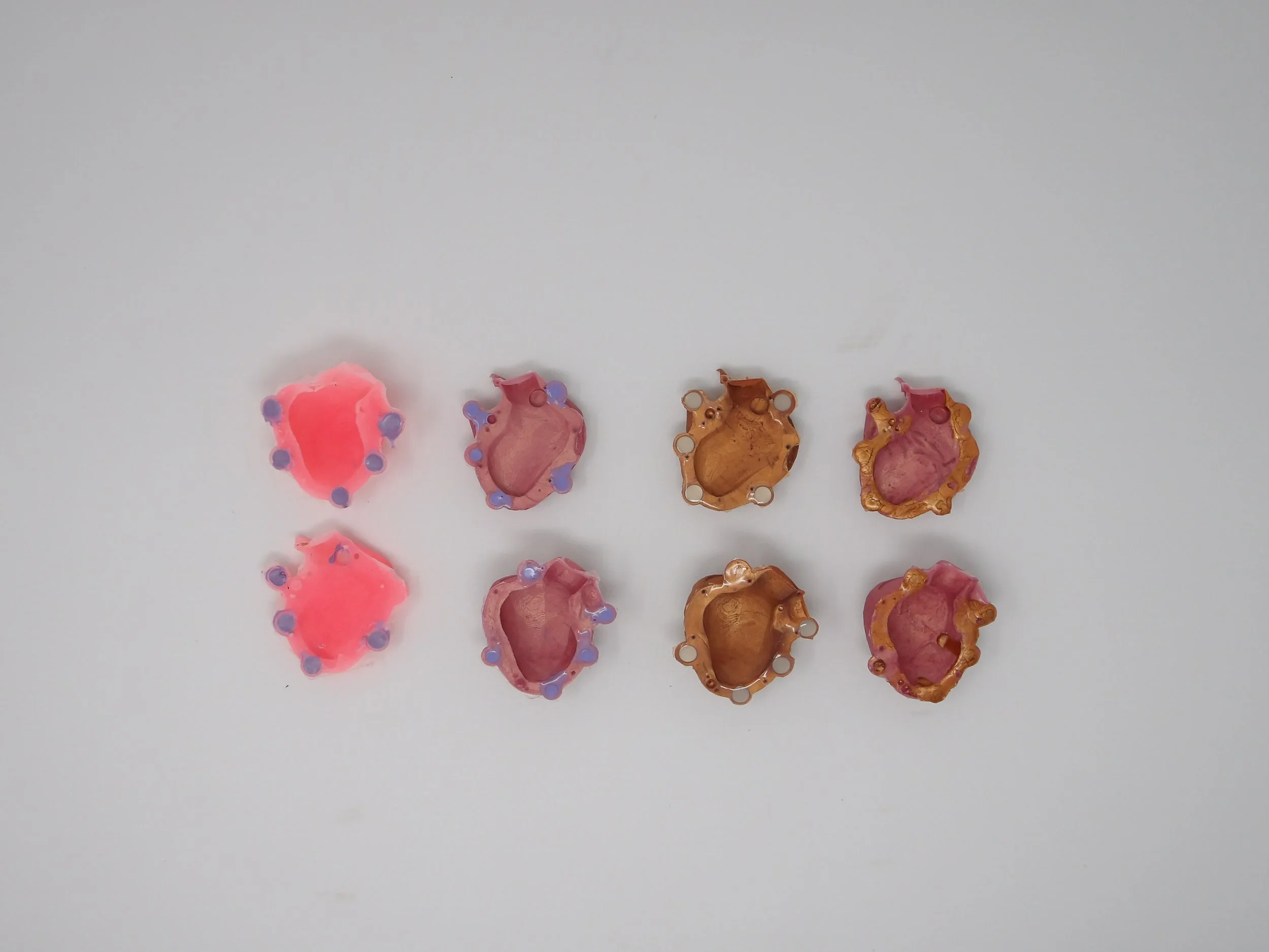 3.2 Iterated silicone parts and assembly heart with VSD adhered by larger magnets