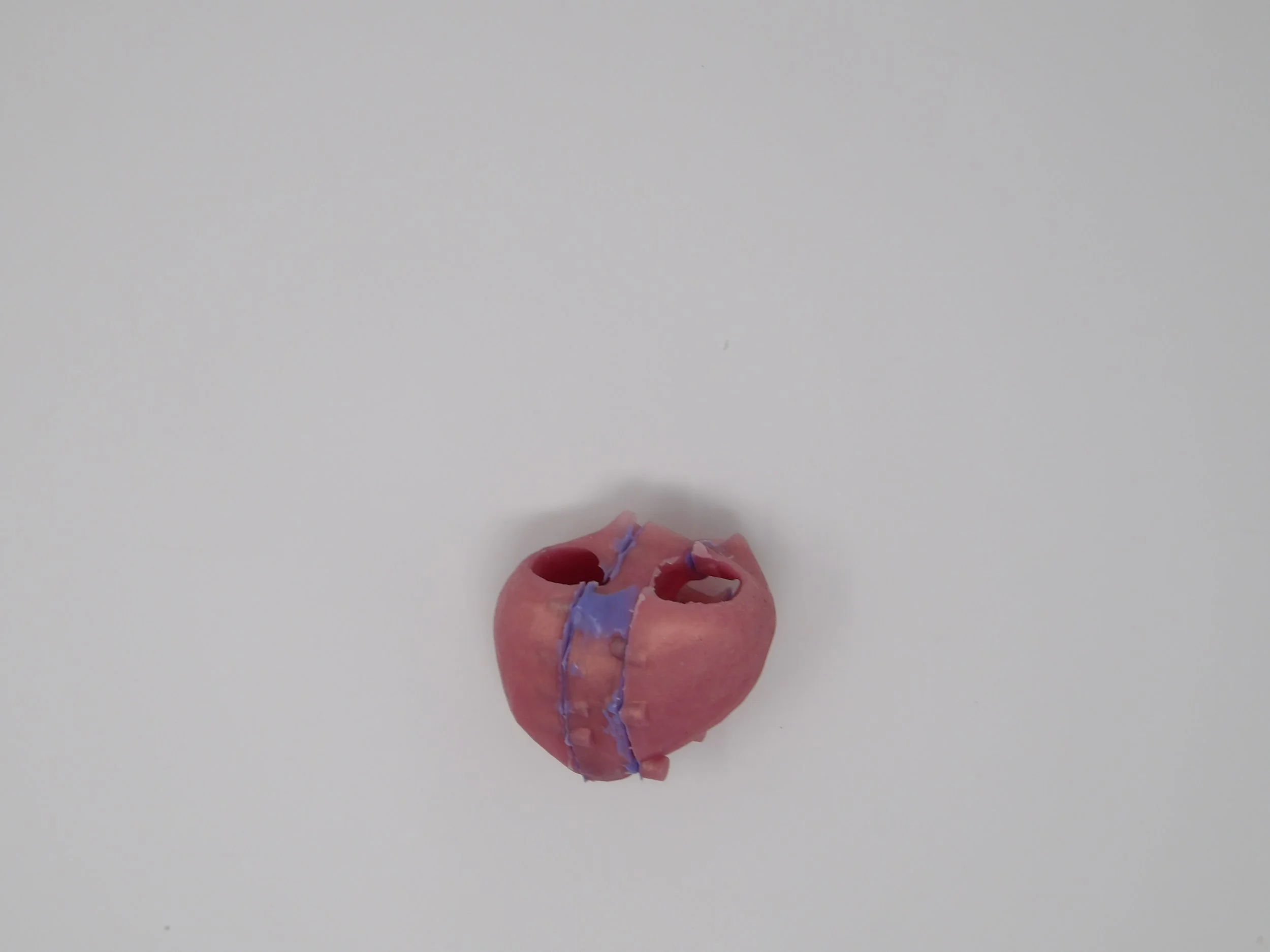 100_0071.JPG