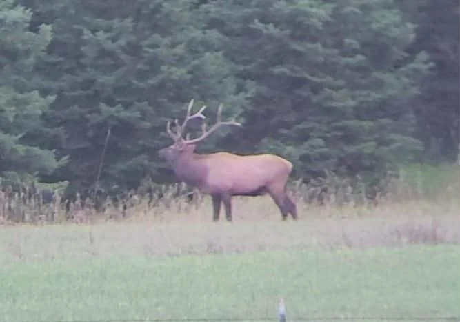 6741314487049794278 (1).JPG