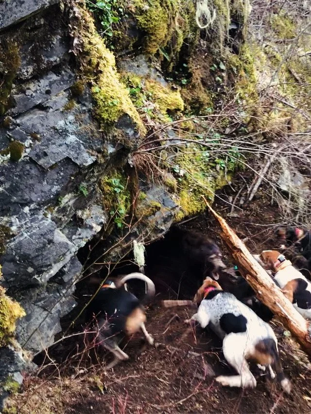 B8377159-59EB-4E92-977F-158C312721A7 (1).JPG