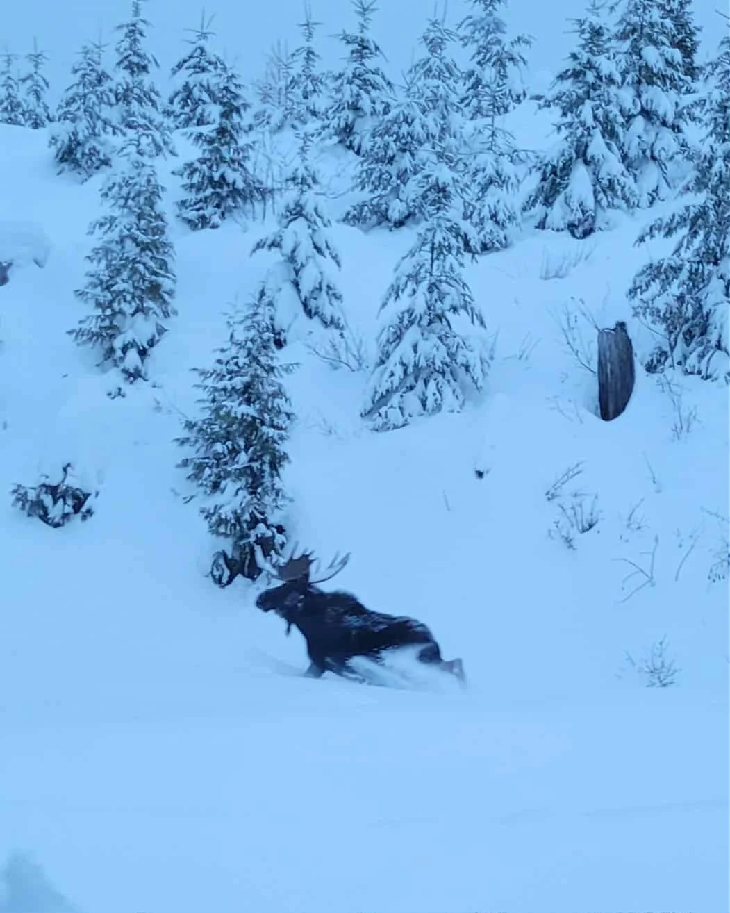 718698492885303682 (1).JPG