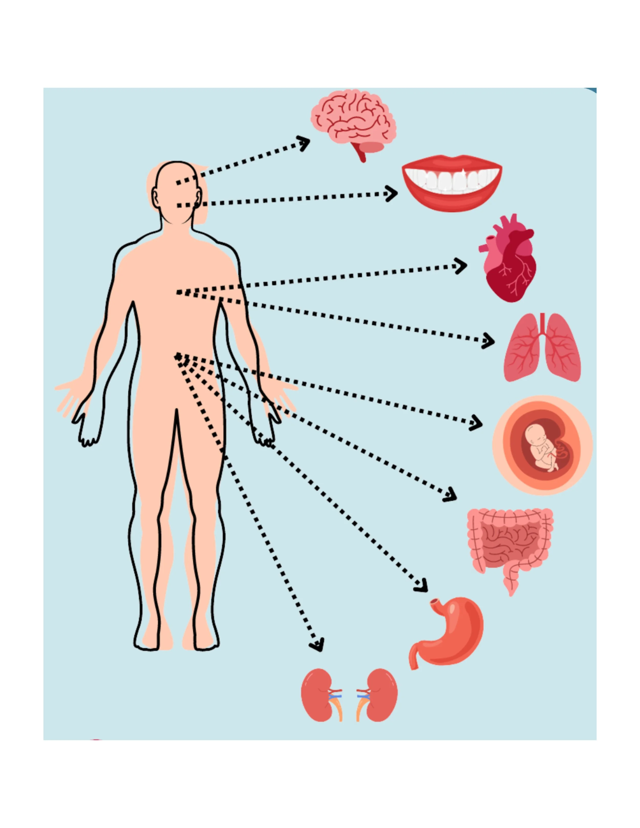 Small Steps Create           Big Shifts