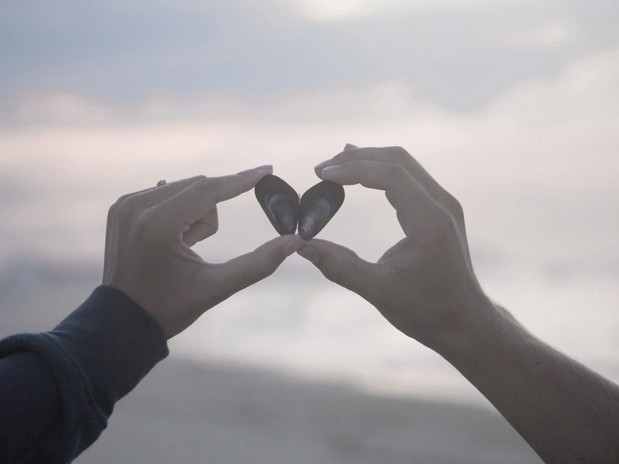 Two hands form a heart shape around two mussel shells against a cloudy sky.