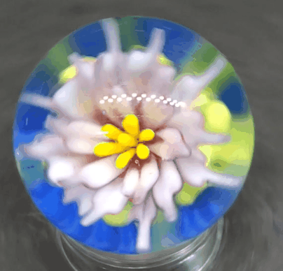 Pink Water Lily Flower Marble