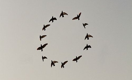 Weekly Frequency Forecast February 2026 (8–15 Feb): On the Edge of a Major Energetic Shift