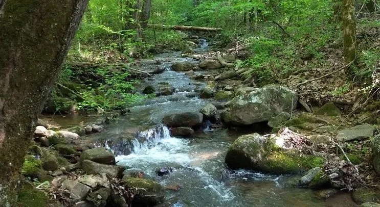 Daily Frequency: When Effort Lightens