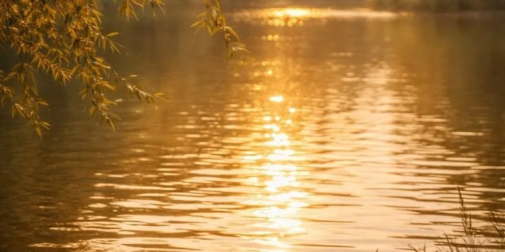 Daily Frequency: Natural Reciprocity