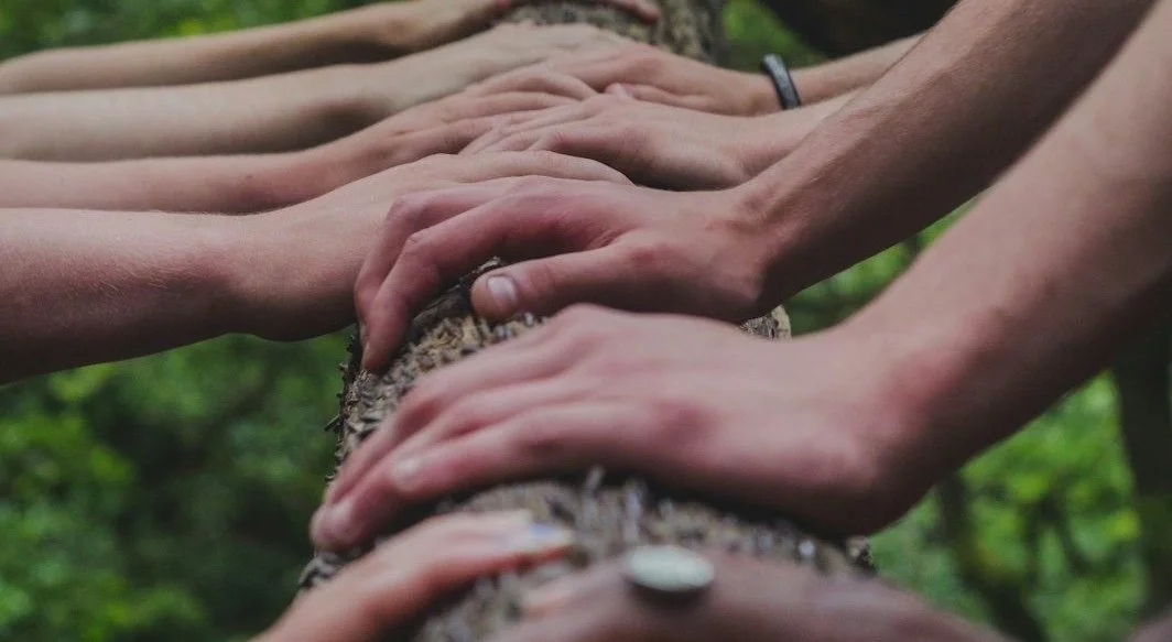 Daily Frequency: Terms Become Clear