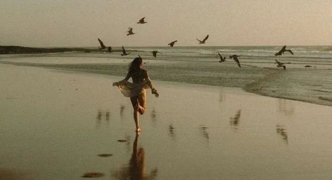 Daily Frequency: Seeing, Releasing, Leading