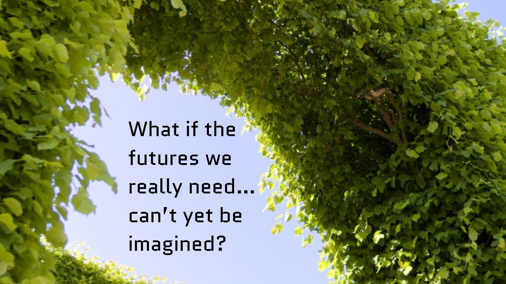 Designing Nature Positive Futures