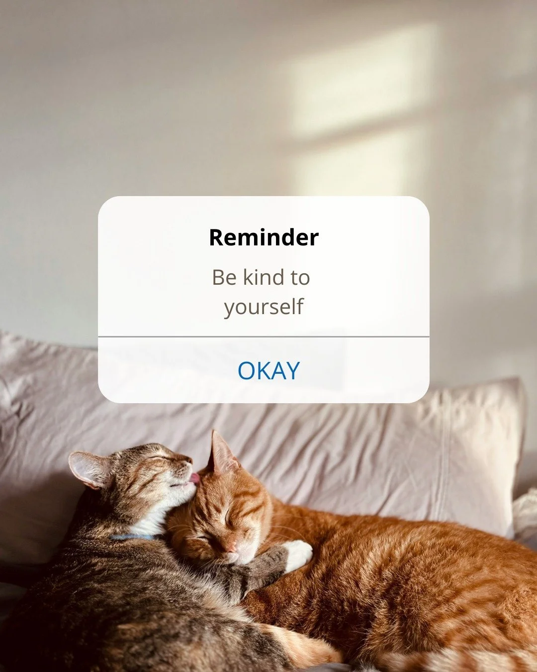 Some days feel heavier than others.

You don&rsquo;t have to push through everything.

If today feels a little harder,
this is your reminder to slow down 🤍

#womenswellness #pmsrelief #periodhealth #hormonehealth
#selfcaretips #bekindtoyourself #men