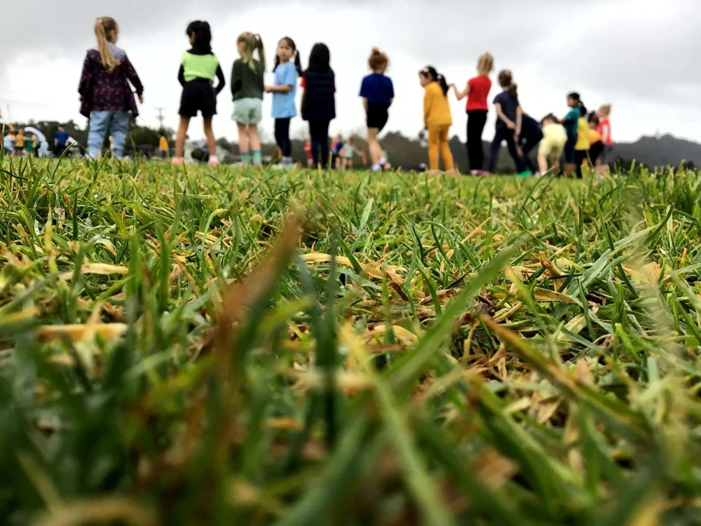 Warkworth Cross Country