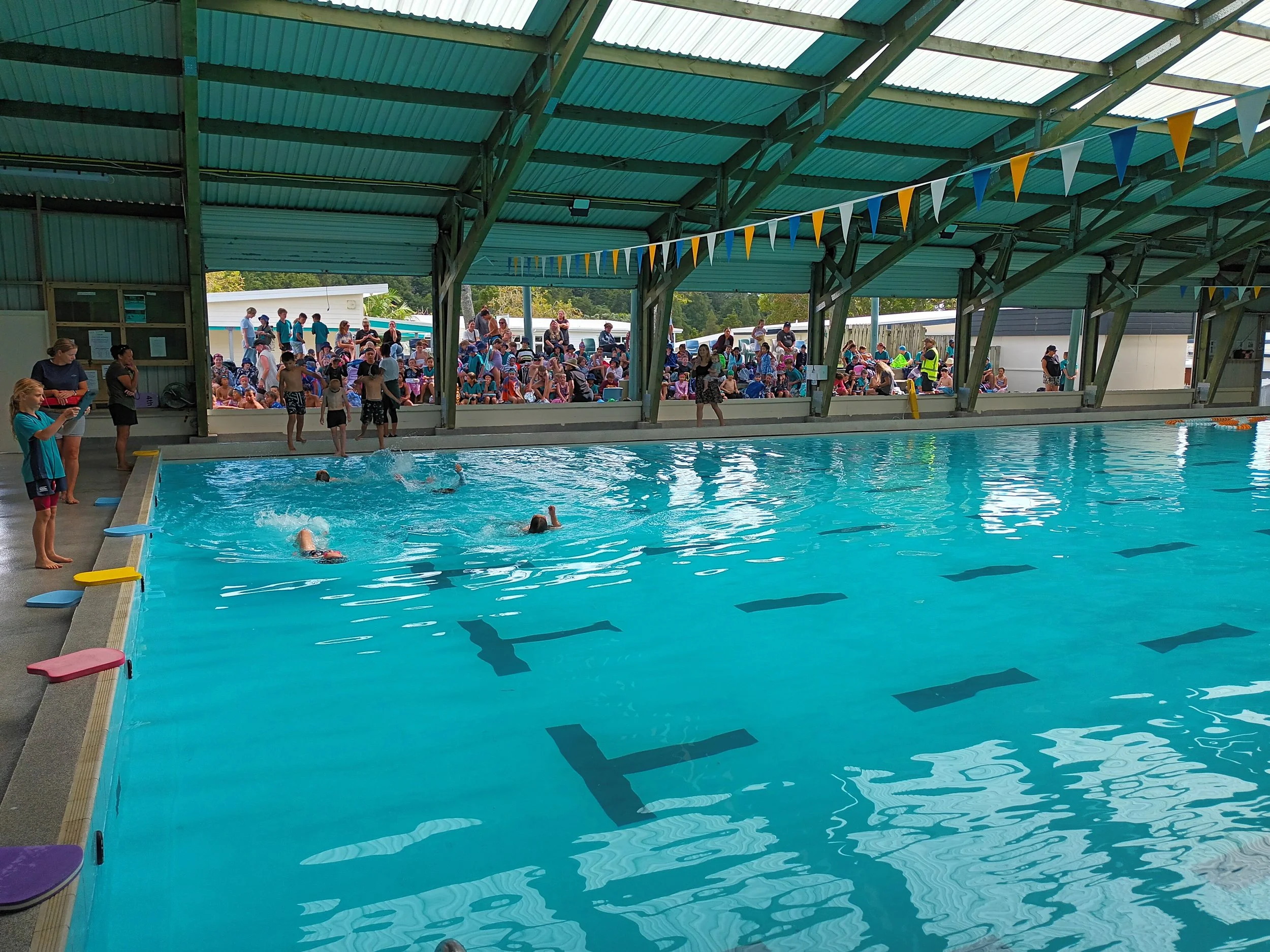 Senior Swimming Sports