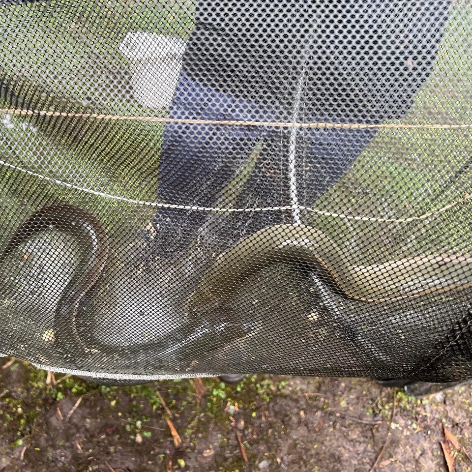 C2 Kowhai Park Trip