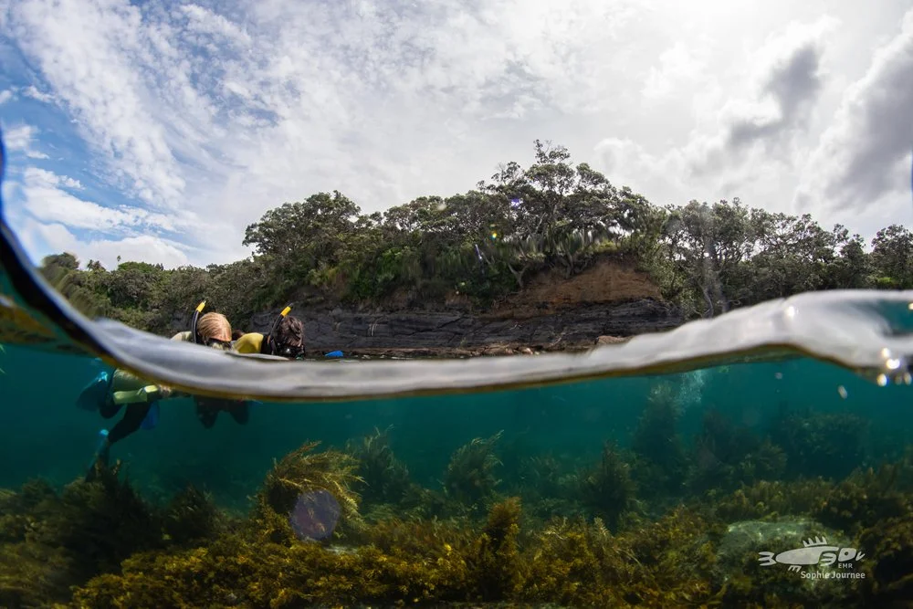 C3 Experiencing Marine Reserves (EMR)