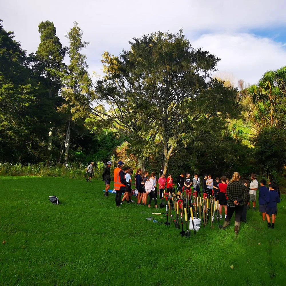 C6 Tree planting at Kowhai Park