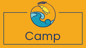 C4 Camp