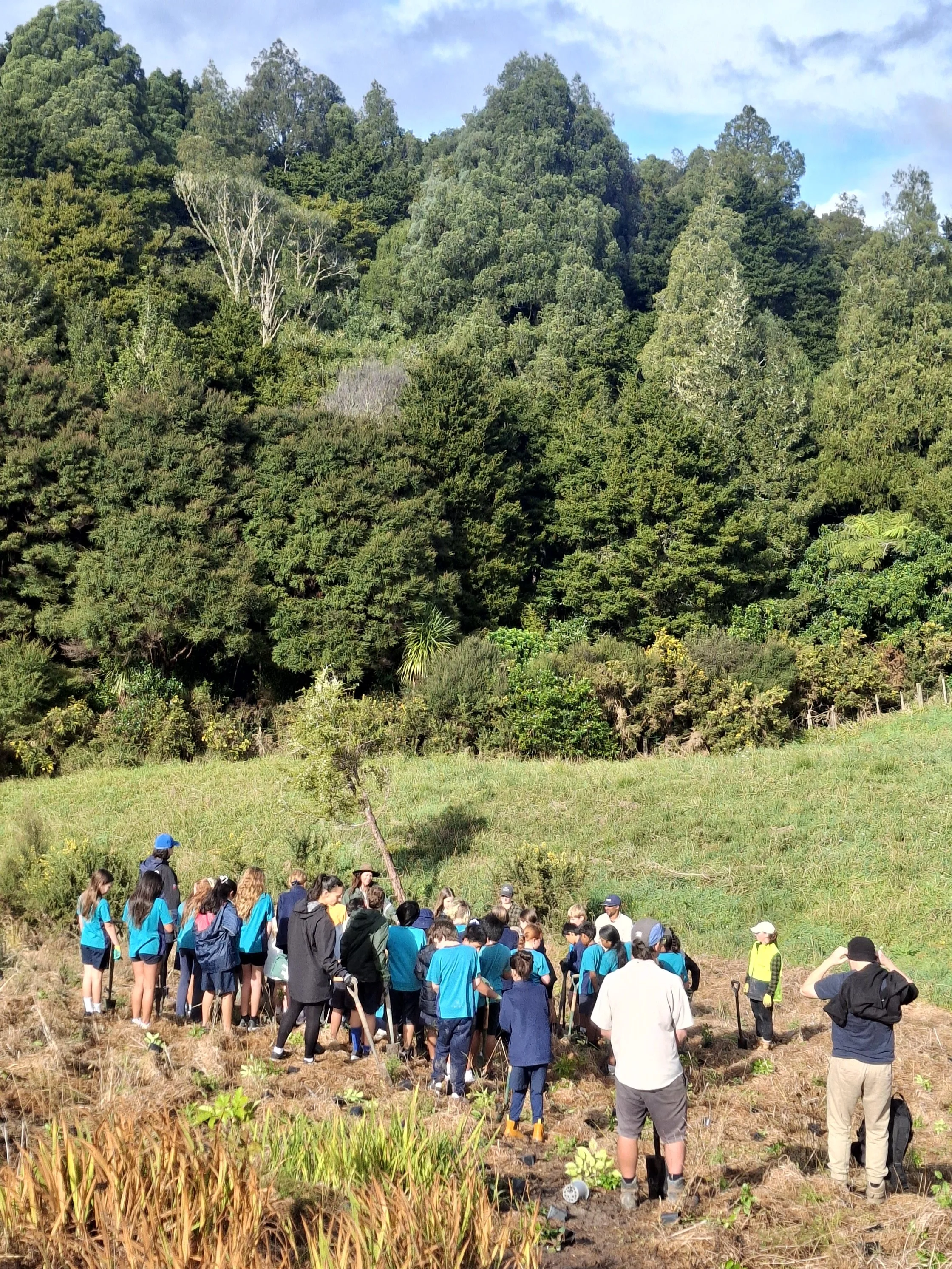 C6 - Tree Planting for Adopt-A-Park