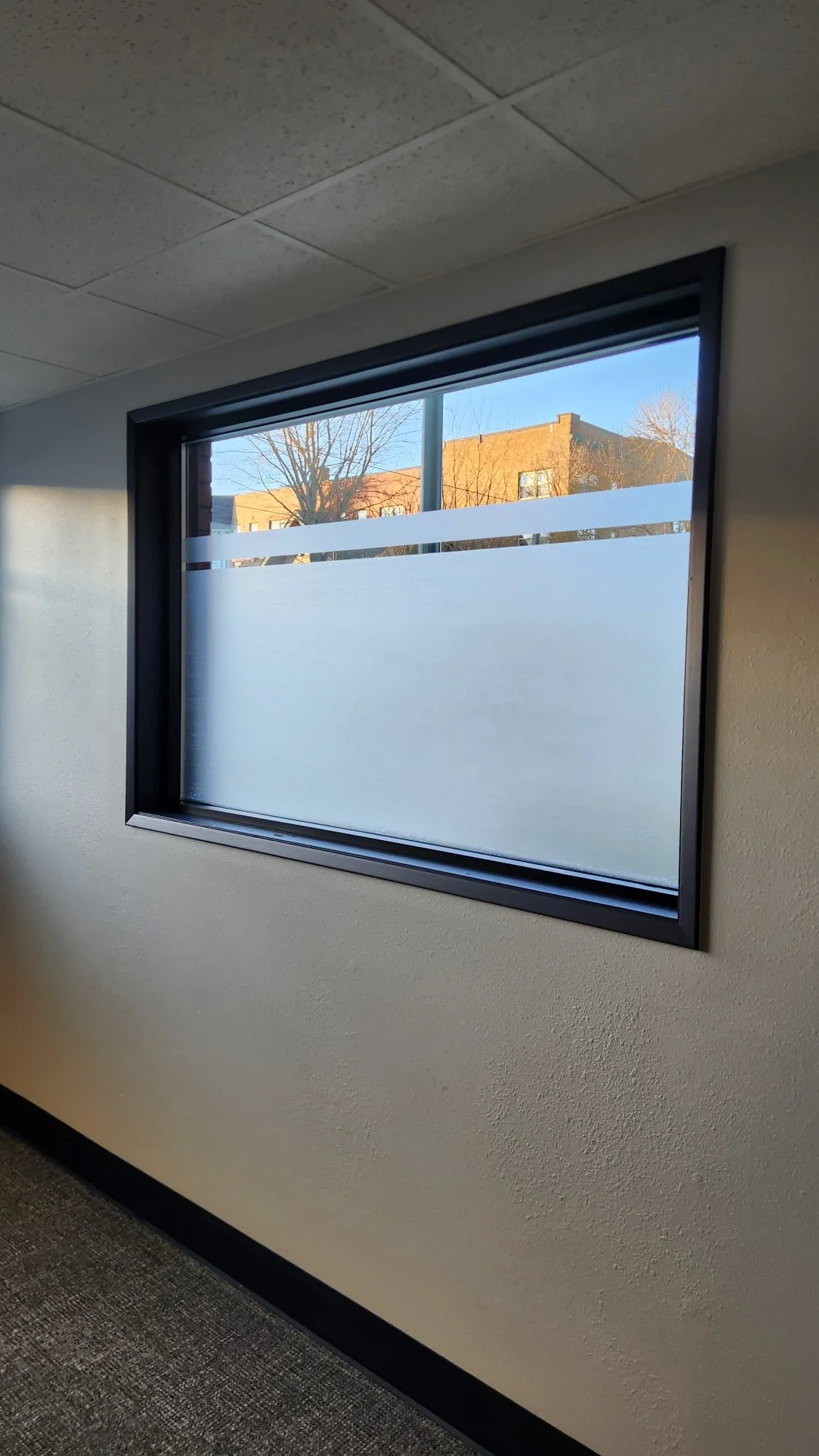 Interior view of a window with frosted lower half, daylight outside with buildings and trees visible.