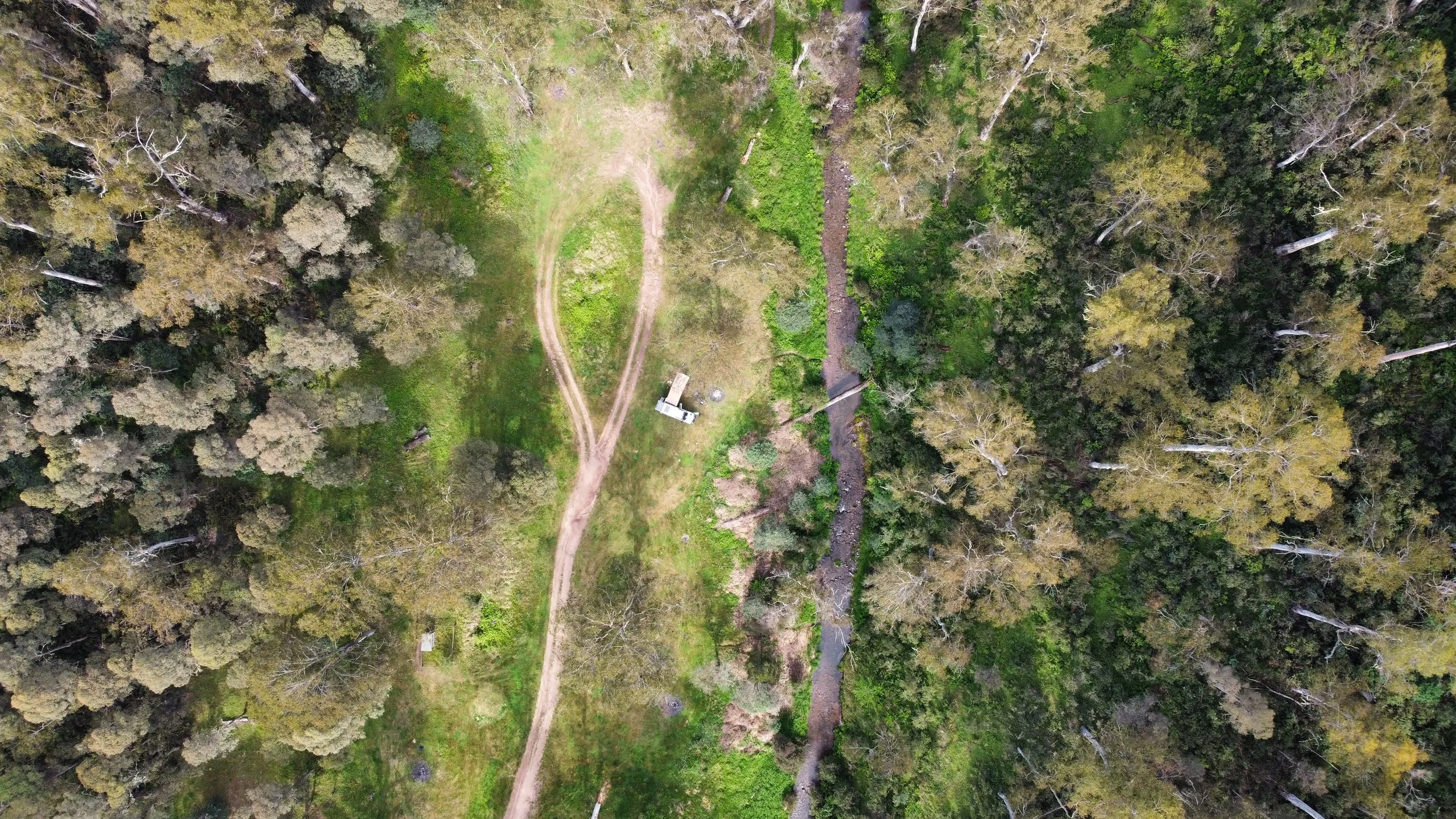 Aerial view of a forested area with a dirt trail, a small wooden shed, and a narrow river running through the trees.