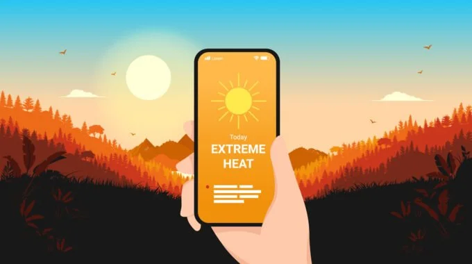From Beach to BBQ: Must-Have Apps for Your Christchurch Summer
