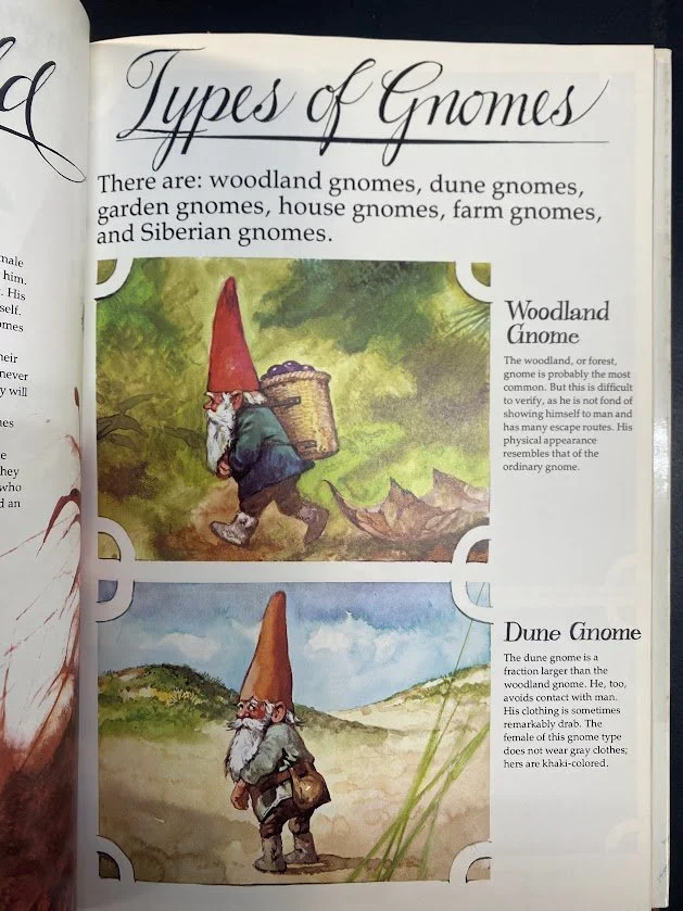 gnomes 2.jpg