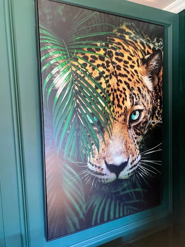 New - Framed Leopard canvas