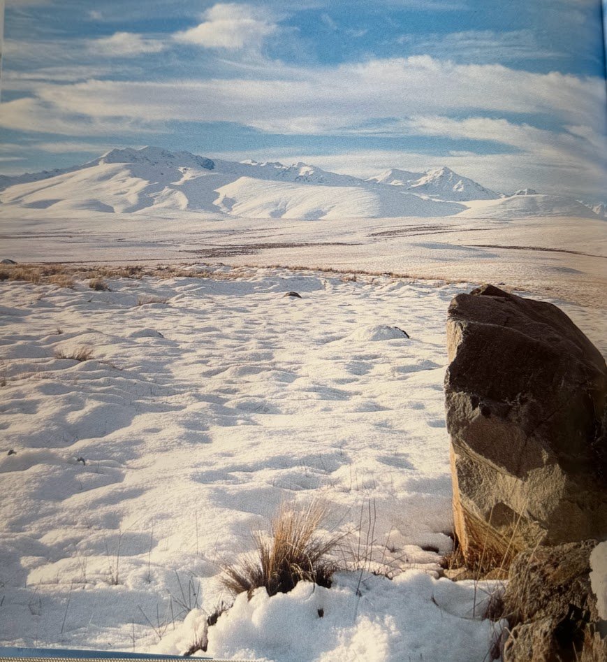 BACKCOUNTRY 2.jpg