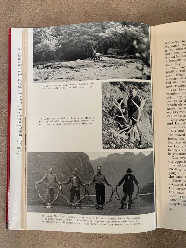 hunter climb high 2.jpg