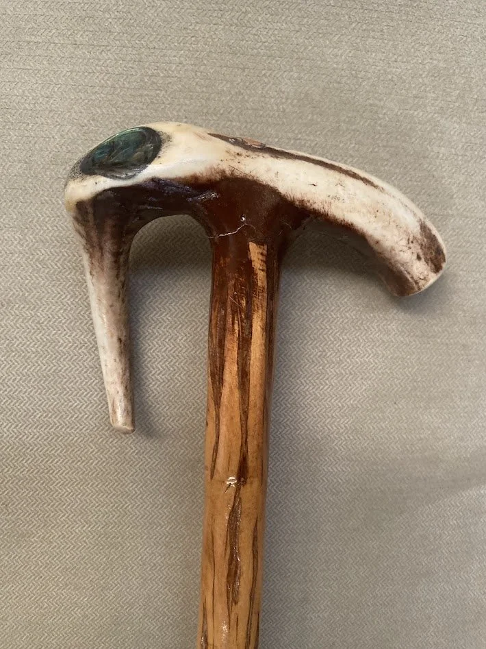 1 Walking stick 1.jpg