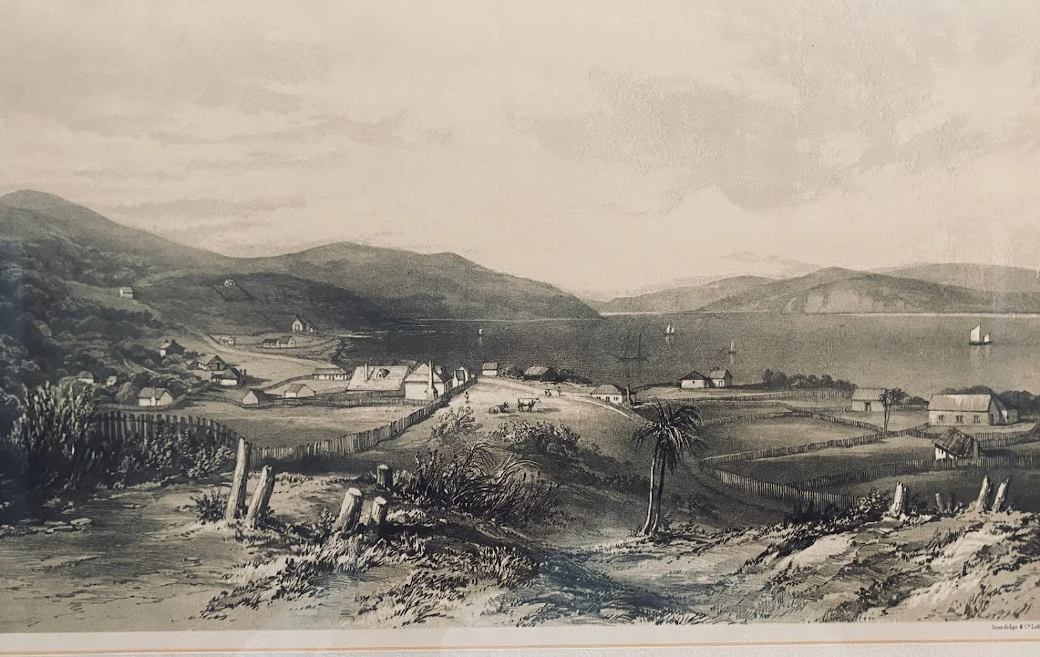Dunedin Litho 1.jpg