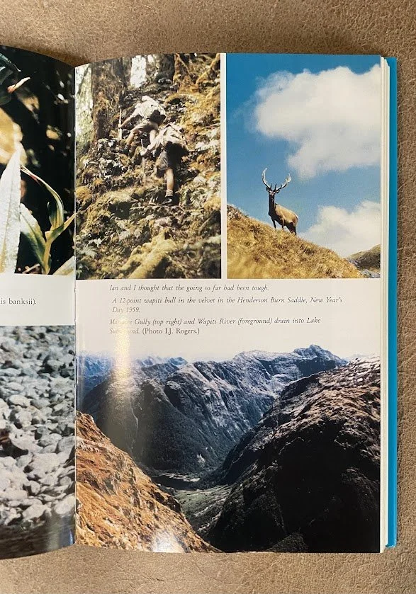 fiordland memories 2.jpg