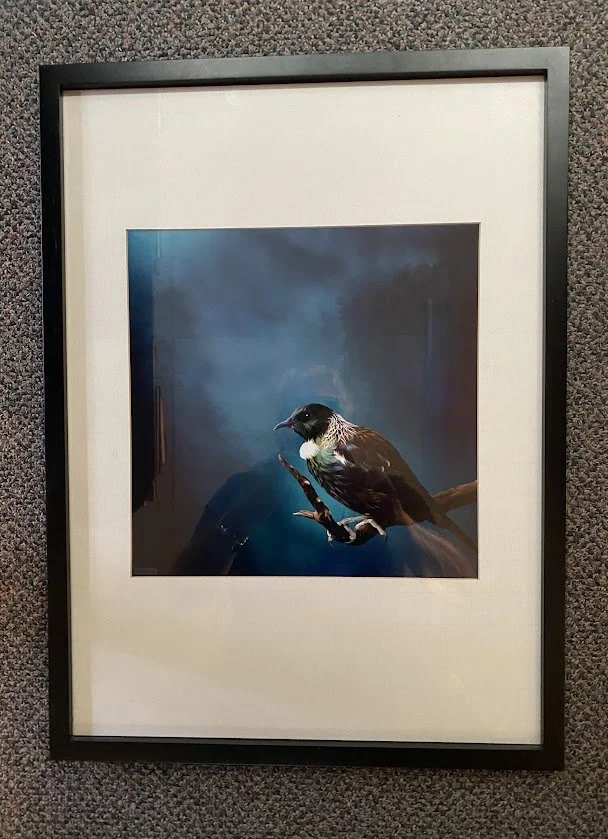 Framed Print of "Tui"