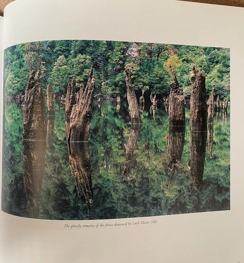 classic tramping 3.jpg