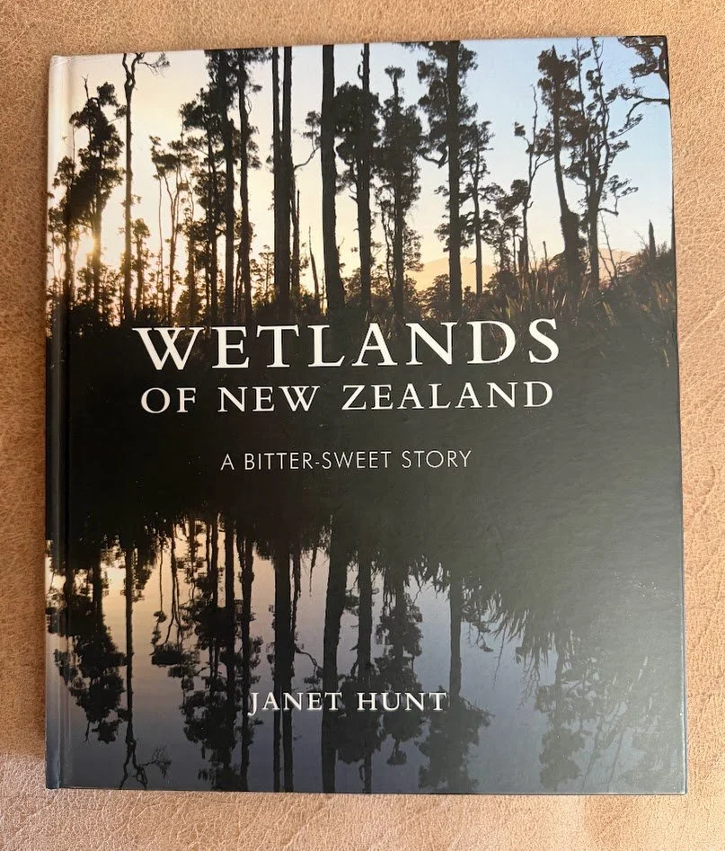 wetlands 1.jpg