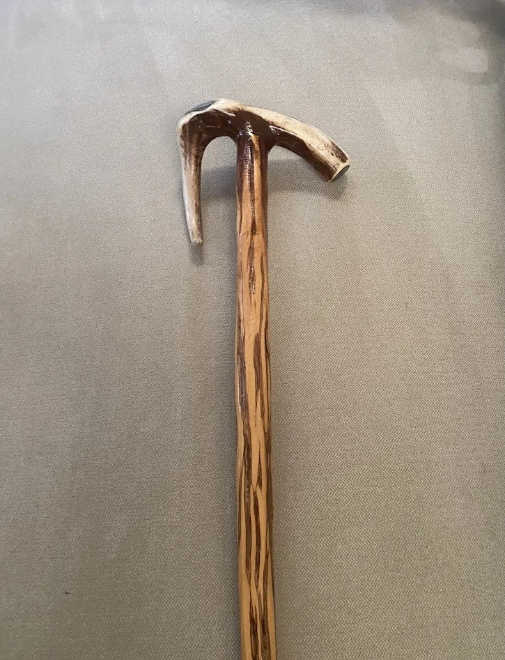 1 Walking stick 3.jpg