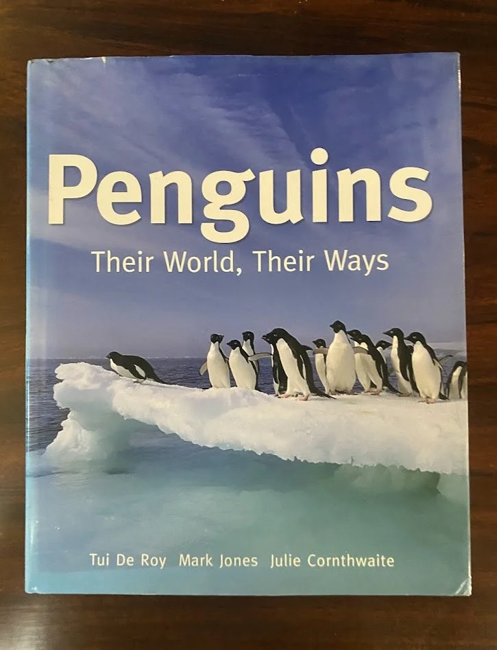 penguins 1.jpg