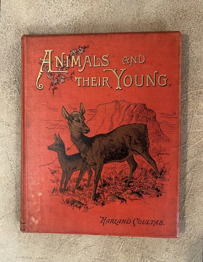 Animals and their Young