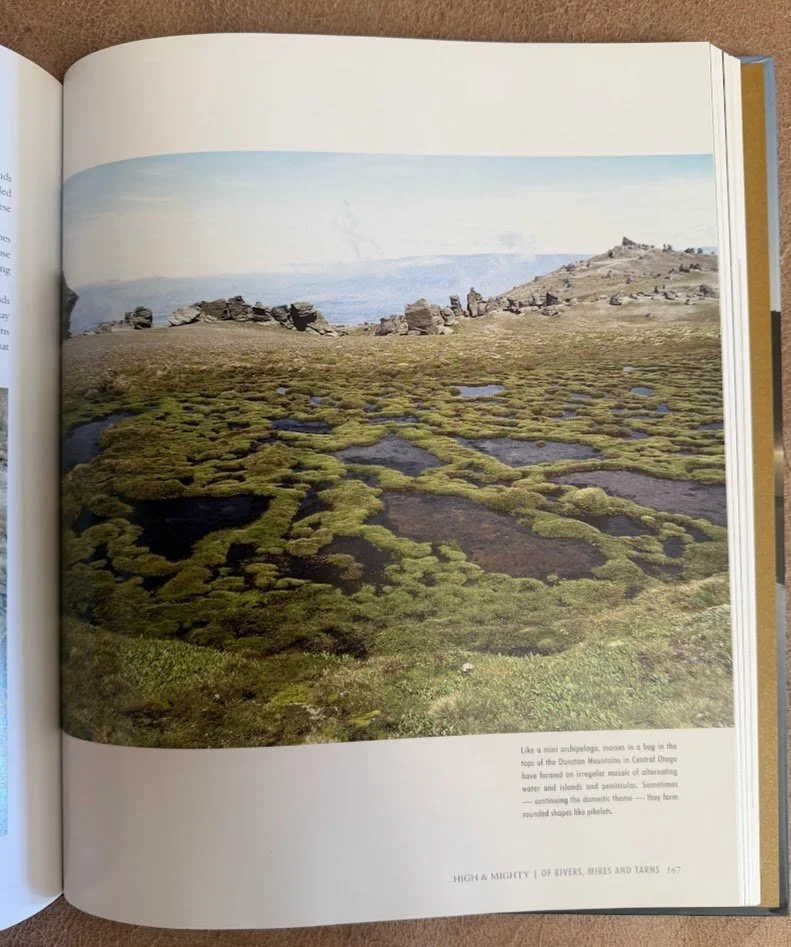 wetlands 3.jpg
