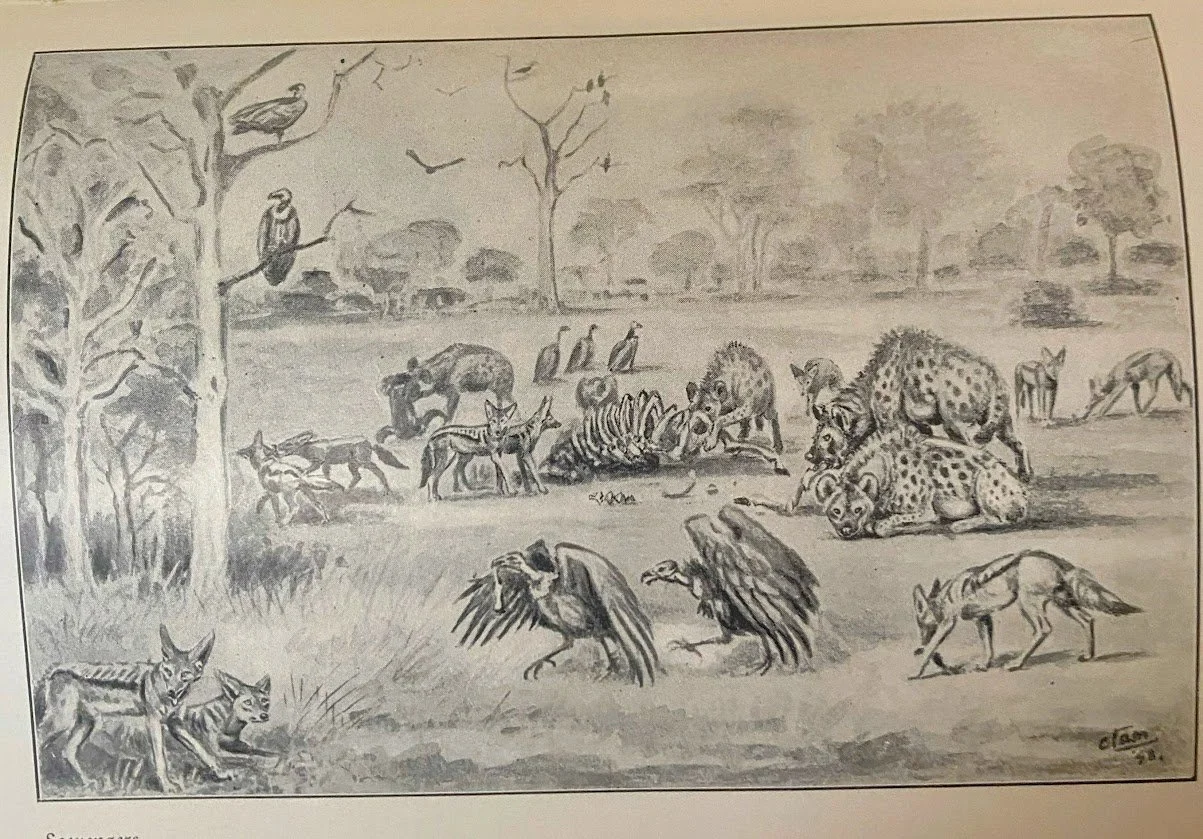 Memories of a Game warden. 2.jpg