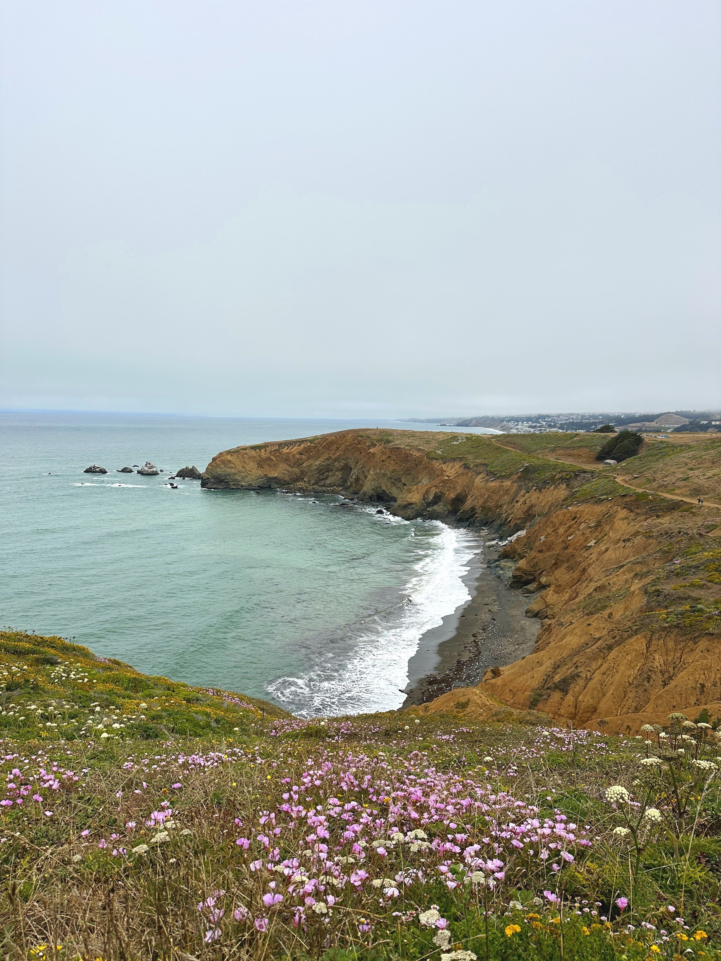 Coastal landscape with rocky cliffs, wildflowers in the foreground, and the ocean extending to the horizon under a cloudy sky.