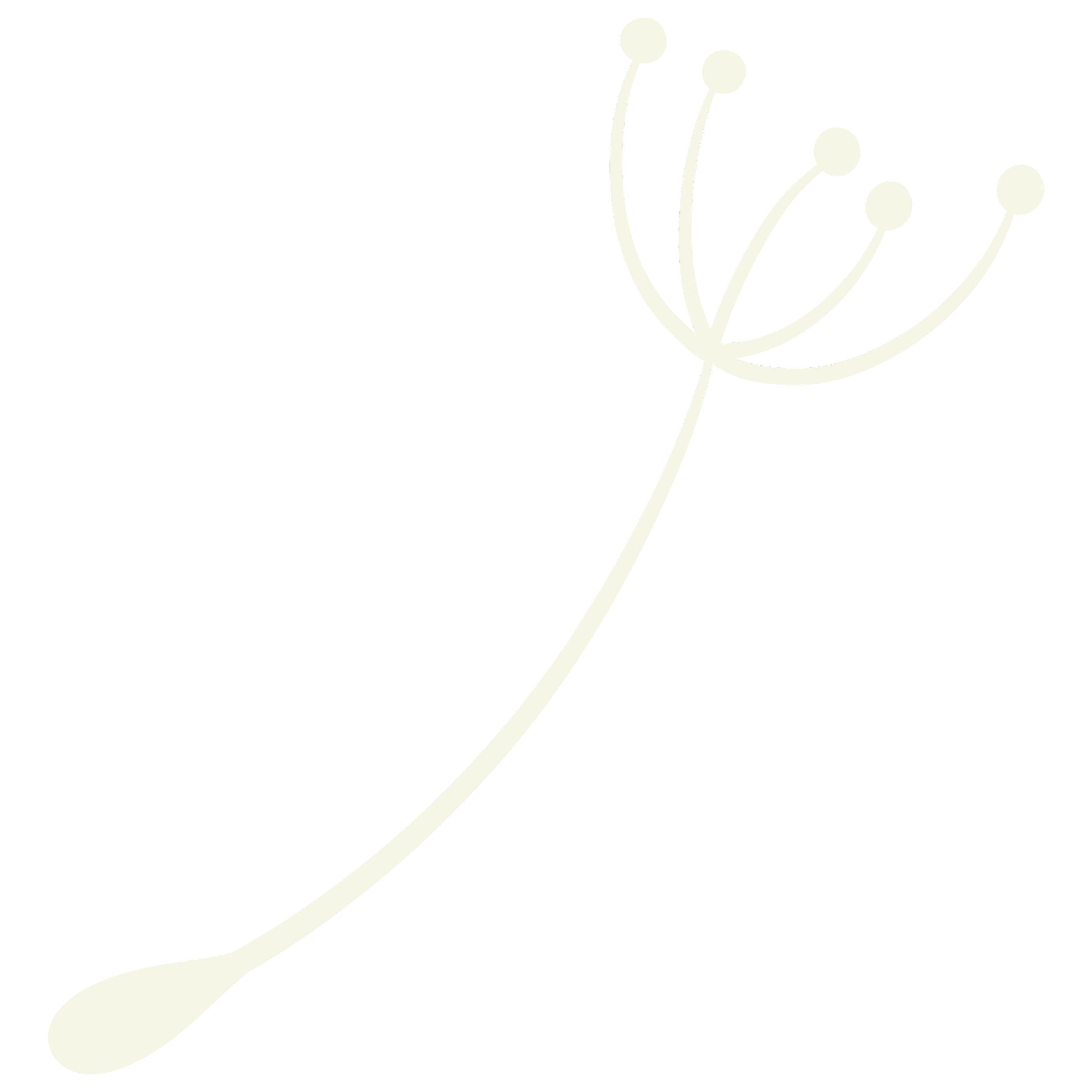 A stylized illustration of a dandelion seed with multiple long, curved stems and round buds on top, in cream color on a transparent background.
