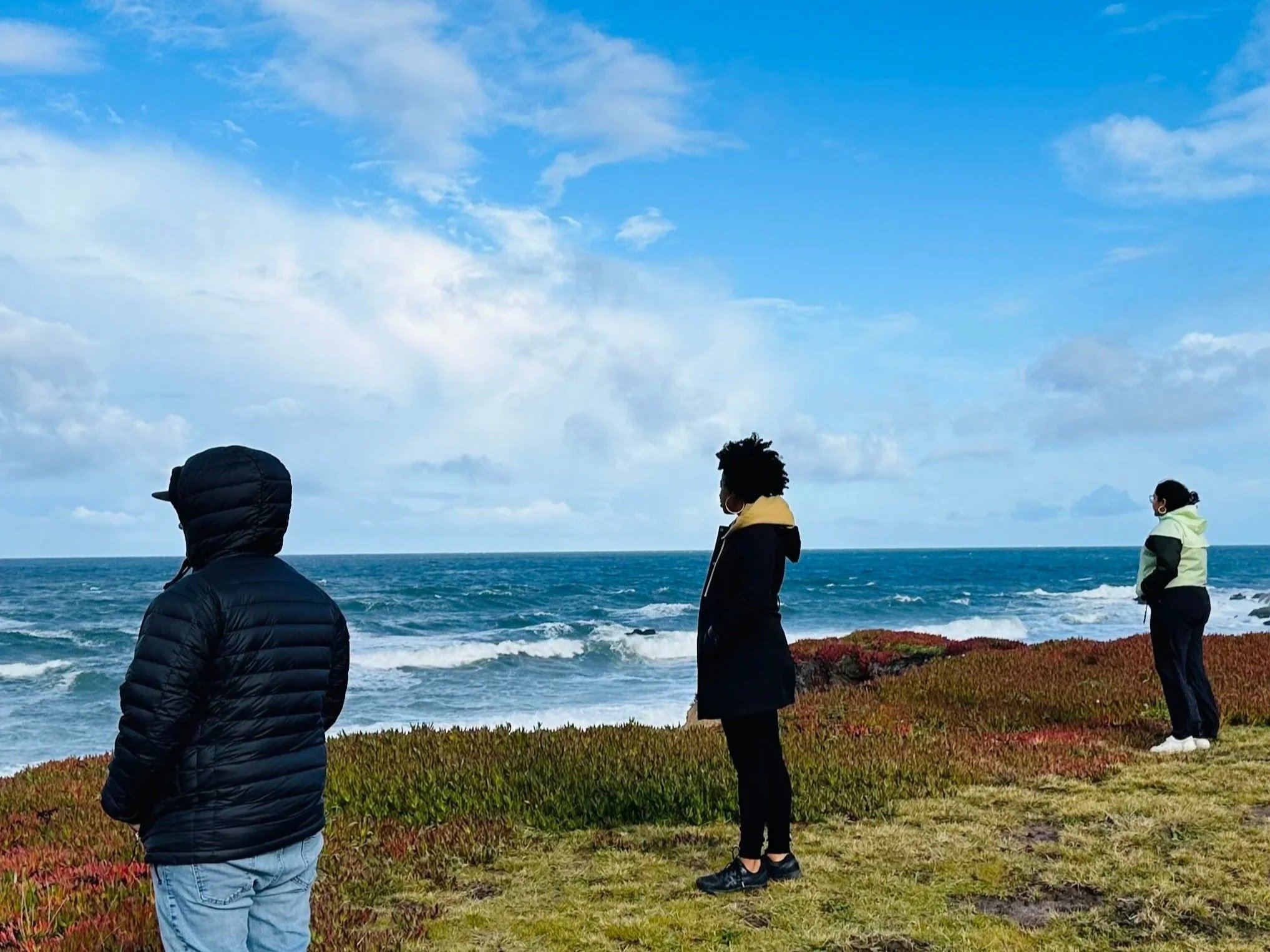 Three people standing by the ocean on a cloudy day, some wearing jackets and hoodies, with green and reddish bushes in the foreground.
