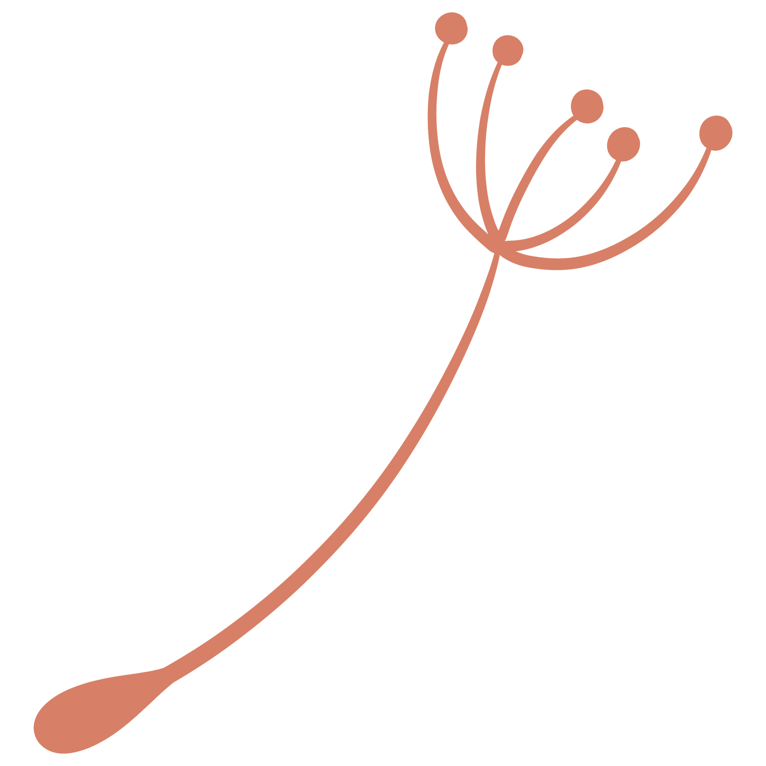 A stylized illustration of a dandelion seed with multiple long, curved stems and round buds on top, in muted red color on a transparent background.