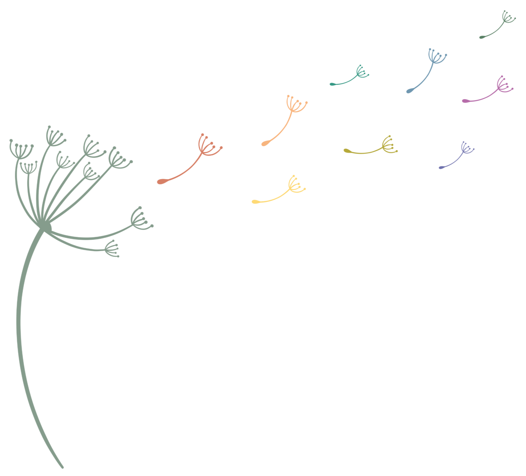 Muted green dandelion with colorful dandelion seeds dispersing in the air against a transparent background.