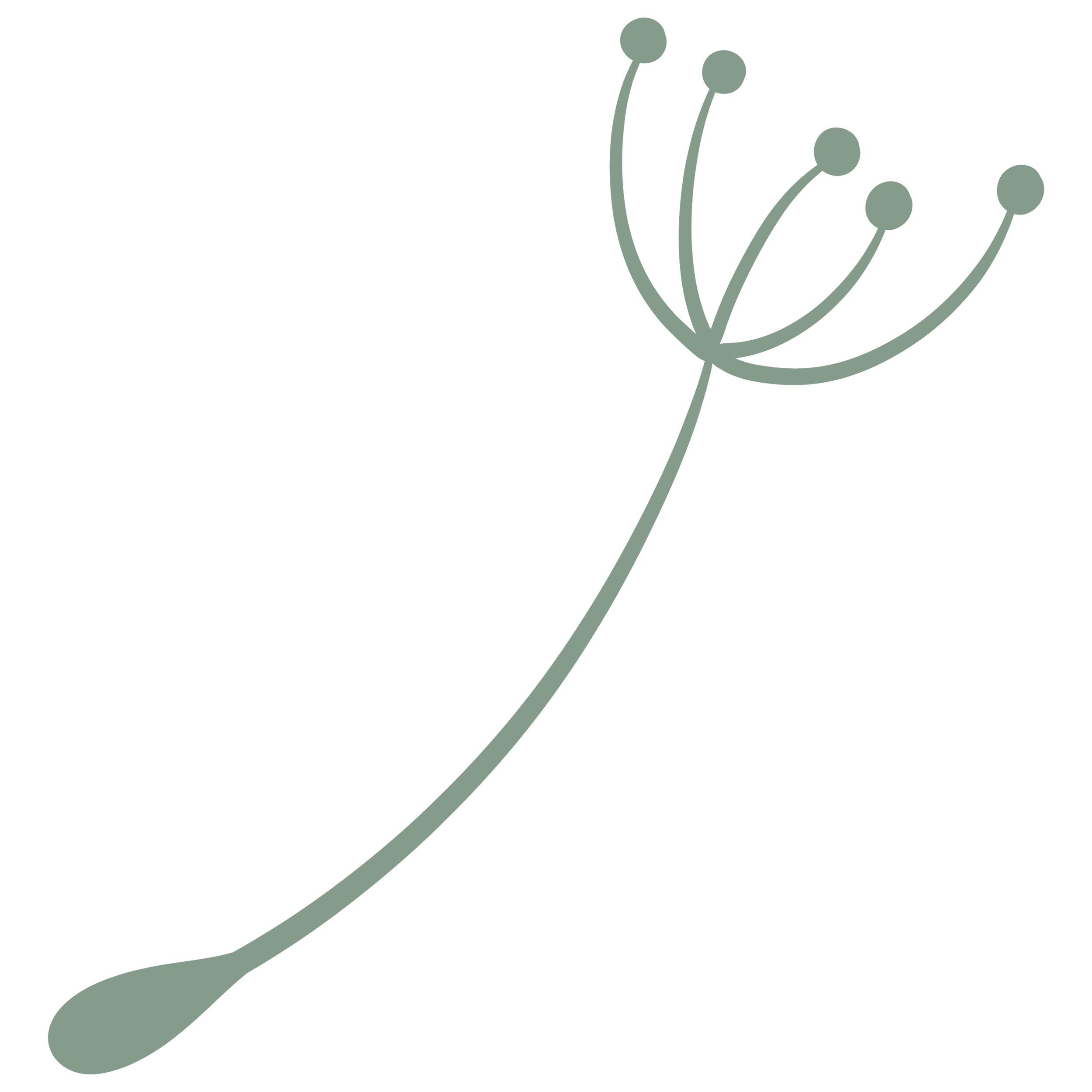 A stylized illustration of a dandelion seed with multiple long, curved stems and round buds on top, in muted green color on a transparent background.